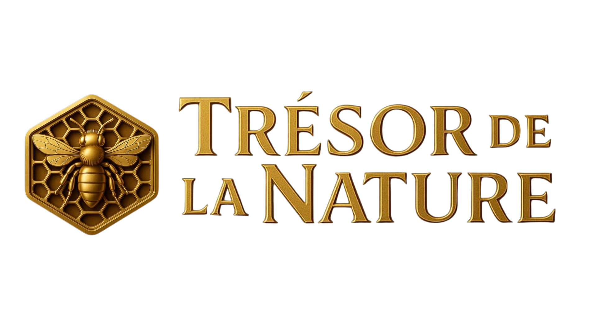 logo trésor de la nature