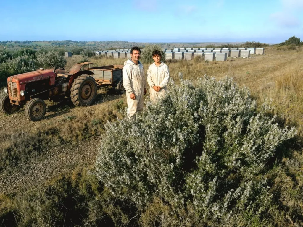 ApicSergio et son fils Álvaro, apiculteurs espagnols, dans leur rucher au milieu du romarin en Espagne.ulteur espagnol et son fils adolescent près de leurs ruches et d’un buisson de romarin pour la production de miel de romarin