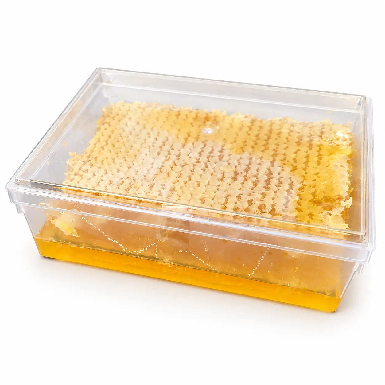 Miel en rayon de Bulgarie dans une boîte transparente sur fond blanc, avec les alvéoles de cire et le miel doré visibles.